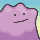 Retrato de Ditto