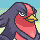 Retrato de Swellow